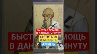 МОЛИТВА СВЯТИТЕЛЮ СПИРИДОНЕ  Быстрая помощь в данную минуту  #спиридонтримифунтский #молитва #душа