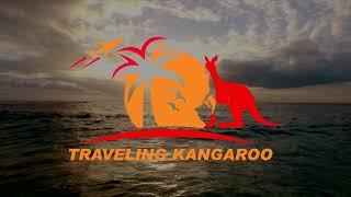 Traveling Kangaroo Video Intro