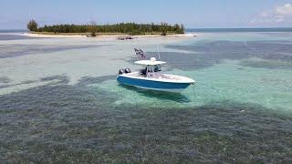 SANDY CAY WEST END BAHAMAS