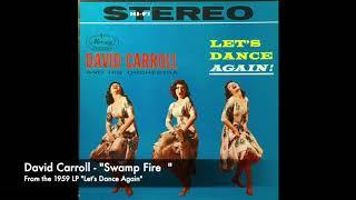 David Carroll - Swamp Fire