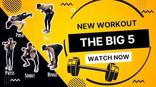 The Big 5 Workout ~ Push, Pull, Press, Squat & Hinge!