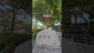 [보림사 도량입니다] 늘 이렇게 맑고 정갈합니다.  #사찰여행 #사찰소개 #소원성취발원 #사찰풍경 #불교 #shorts #healing #temple