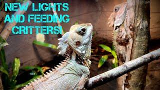 NEW LED LIGHTS AND FEEDING CRITTERS! Monday mania!