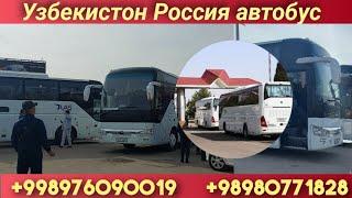 Ташкент - Москва автобус Ташкент Россия автобус