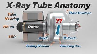 X-Ray Tube Anatomy: X-Ray Production Explained!