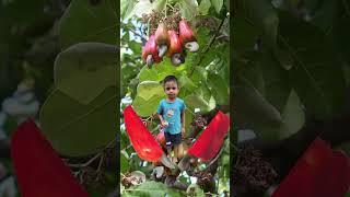 MD MASUD KHAN BD 