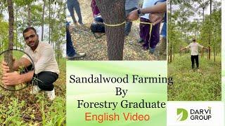 Sandalwood Cultivation Guide by - Forestry Graduate - With results