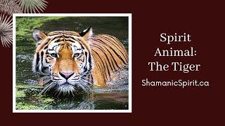 Animal Spirit Guide: The Tiger (Shamanic Power Animal). Tiger Symbolism