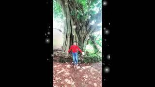 Dance saravlog