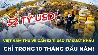 Nông nghiệp Việt Nam thu về gần 52 TỶ USD hàng xuất khẩu trong 10 THÁNG | CafeLand