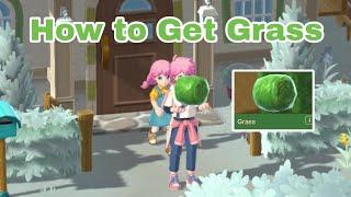 How to get Grass | Harvest Moon : Home Sweet Home