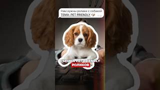СЪЕМКА СОБАКИ  #reels #видео #пес #хатико #собака #тренд