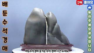배둔수석경매 25년 5월 26일 월요일 즐거운 수석 경매 시간 되세요. 수석 수석경매 수석경매장 수석경매실시간 실시간수석경매 실시간경매