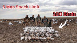 INSANE 5 MAN SPECK LIMIT IN 30 MINUTES!! 100 Bird Day!