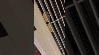  Такого я еще в отелях не встречал: ПЕЧЕНЬЕ В КОНДИЦИОНЕРЕ