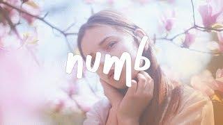 Lauren Cruz - Numb (Lyric Video)