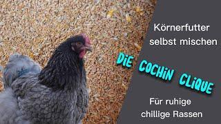 Körnerfutter selbst mischen, Verfettung vorbeugen  | Folge 24 | Die Cochin Clique