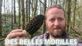 Morilles 2021 : Je suis récompensé de les avoir laissé pousser !