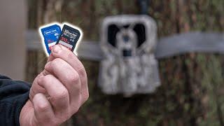 The BEST SD Cards For TRAIL CAMERAS!!!