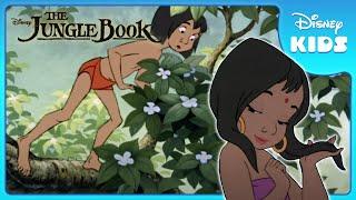 Mowgli Finds the Man Village  | Jungle Book | Disney Kids