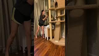 Wild caracal cat attacks woman | ariel.caracat