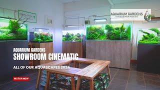 Aquarium Gardens Aquascaping Showroom Cinematic - All of our Aquascape Displays 2024