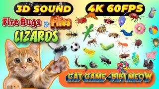 CAT GAMES BiBi TV | Ultimate Cat TV Compilation SPECIAL VOLUME #125 | 3 HOURS | Game On Screen