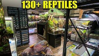 130+ REPTILES & AMPHIBIANS!! | Reptile Room Tour November 2022