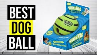 Best Dog Ball 2024 ⬆️ TOP 5 
