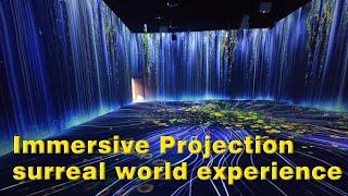 Immersive Projection: Exploring Surreal Worlds with Interactive Hand Touch