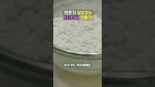면포없이 크림치즈 만들기