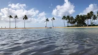 Duke Kahanamoku Lagoon