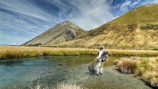 The Biggest Fish of My Trip! Ultra Clear Spring Creek Fly Fishing