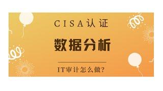 CISA考试认证课程最新免费版--领域1：数据分析（B4）