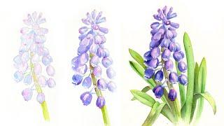 HOW TO LAYER WATERCOLORS  Spring Flower Tutorial