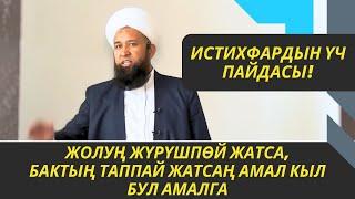 ЖОЛУҢ ЖҮРҮШПӨЙ, БАКТЫҢ АЧЫЛБАЙ ЖАТСА АМАЛ КЫЛ БУЛ АМАЛГА /Максат ажы Токтомушев/