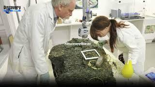 Top 10 0f Most Valuable Treasures Ever Discovered@DiscoveryQuests