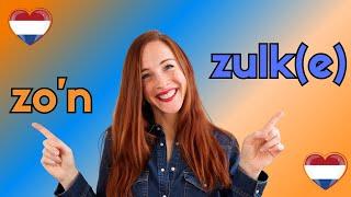 ZULK, ZULKE & ZO'N: when to use which form? (NT2 - A2/B1) #learndutchwithkim