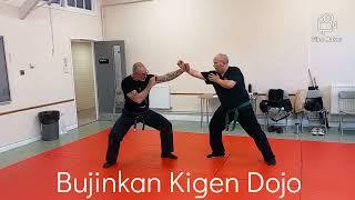 Just Play With Bujinkan Budo Taijutsu