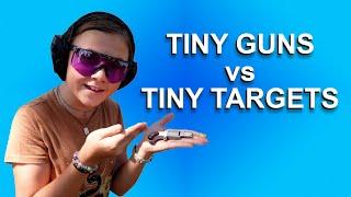 Mini Mayhem: Tiny Guns vs. Tiny Targets!