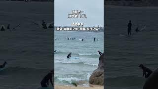 양양 서핑 시작? 썬필드 숙소에서 완벽한 하루 #양양숙소 #양양서핑 #양양스테이