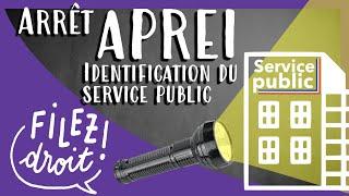 Arrêt APREI, Critères d'identification du Service Public (CE, 22 fev. 2007)