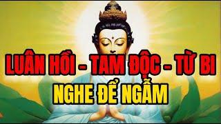 Luân hồi  - Tam độc - Từ Bi: Nghe Để Giác Ngộ, Sống An Lành