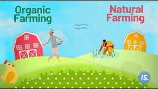 Explained: What Is Natural Farming? | Chemical-Free Natural Farming | IndiaSpend