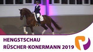 Hengstschau Rüscher-Konermann 2019 mit Hengsten des Landgestüt Warendorf