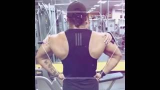 Gpctrainer back and bicep 