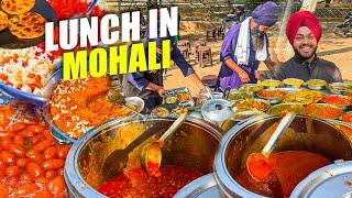 No 1 Mohali Street Food | Best Street food Lunch in Mohali | Mohali Food Vlog | Aman Food Tour