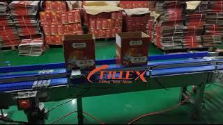 Glass bottle carton packing machine