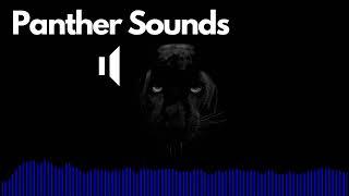 Panther Sound Effects (Roar/Growl) | No Copyright