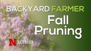 Fall Pruning